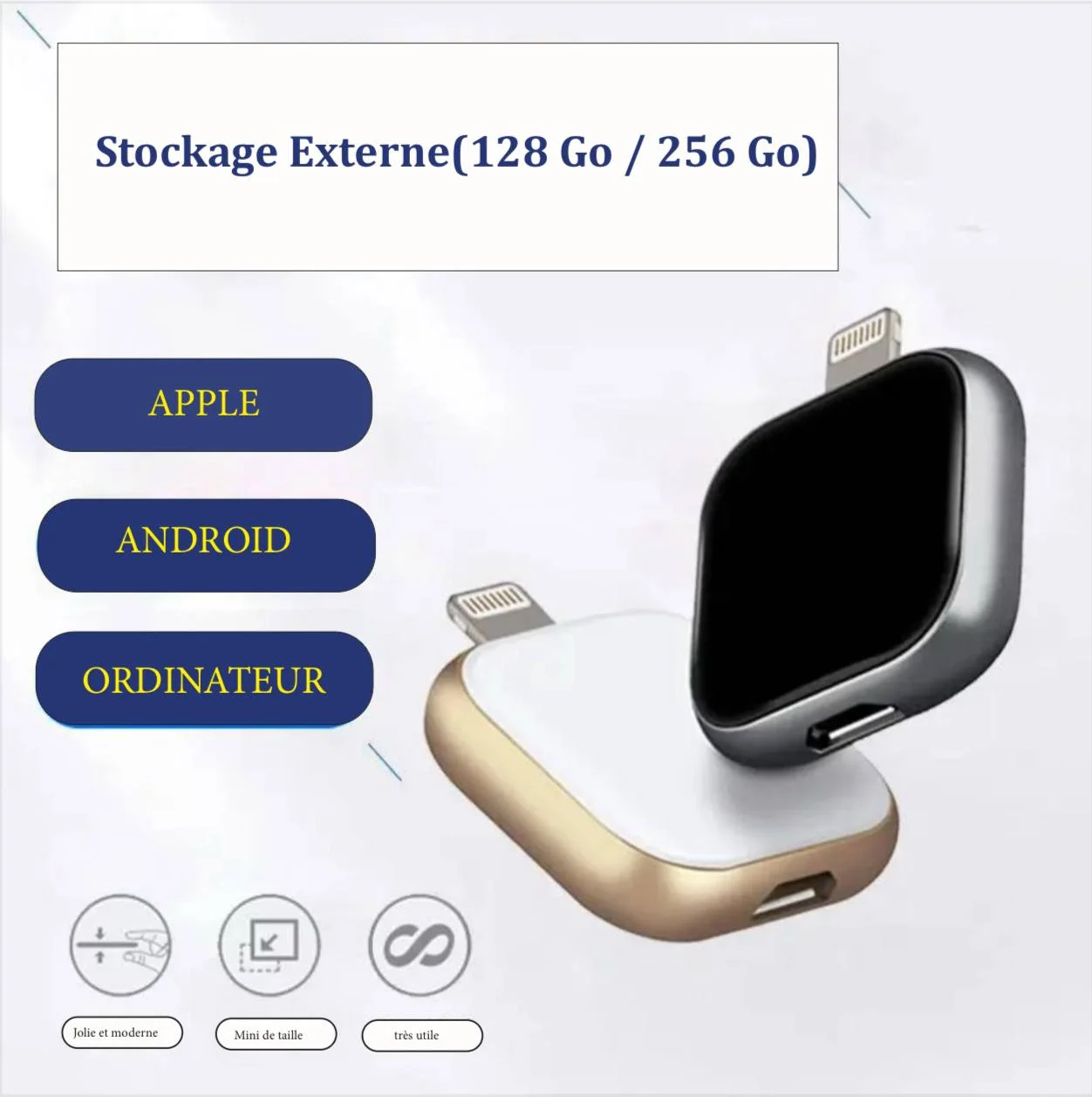 Stockage Externe – 128 Go / 256 Go