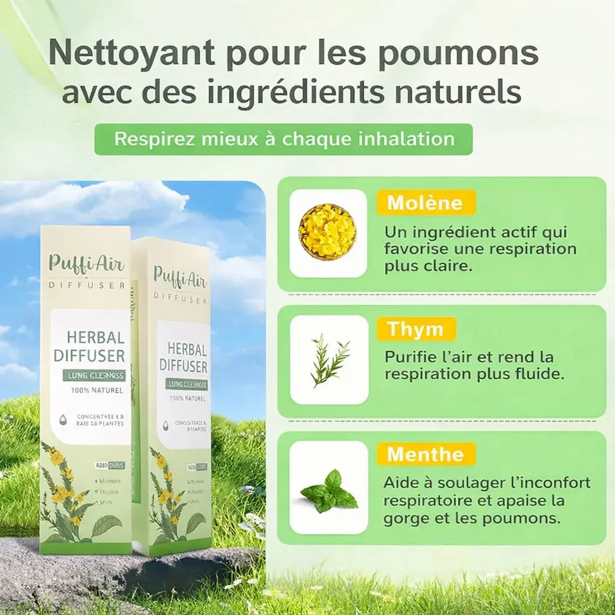 2 stylo diffuseur d'herbes de molène